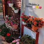 Ive Gasthof Lozovac