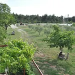 Ive Gasthof Lozovac