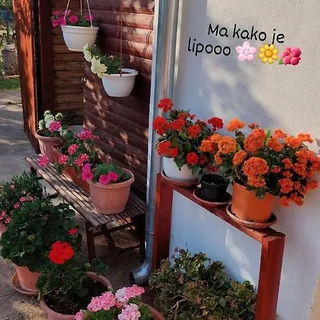 Ive بيت ضيافة لازوفاك