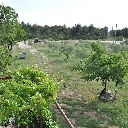 Ive بيت ضيافة لازوفاك