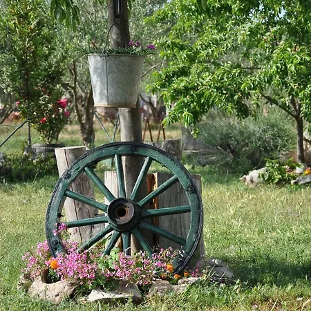 Guest house Ive