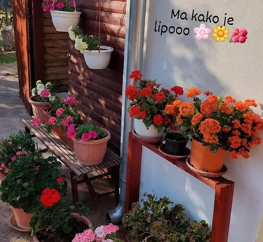 Ive Affittacamere Lozovac