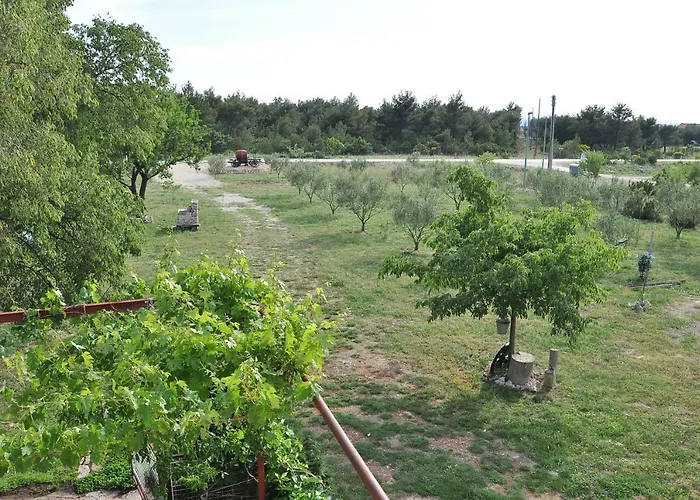 Ive Affittacamere Lozovac